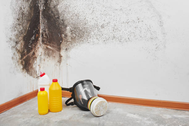 Crawl Space Mold Removal in Sandston, VA