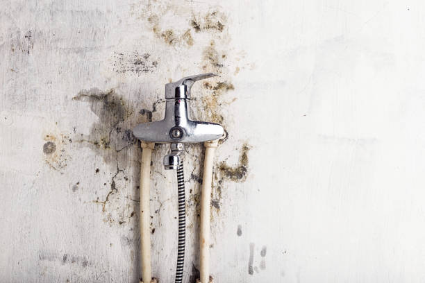 Best Office Mold Removal Services  in Sandston, VA