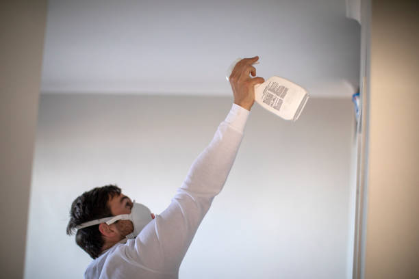 Best Attic Mold Removal  in Sandston, VA