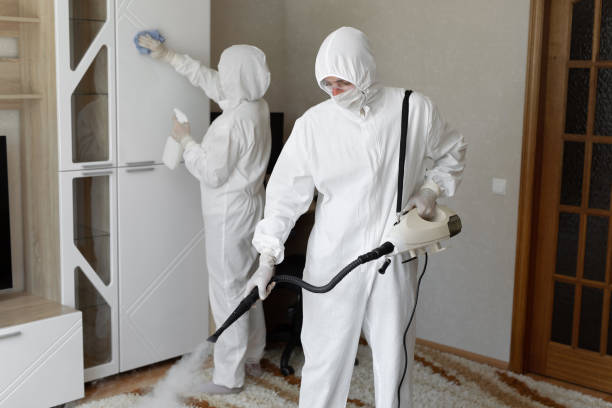 Best Mold Removal Specialists  in Sandston, VA