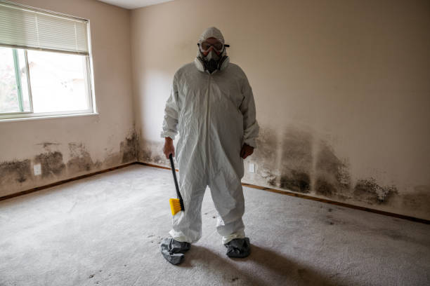 Best Home Mold Removal  in Sandston, VA