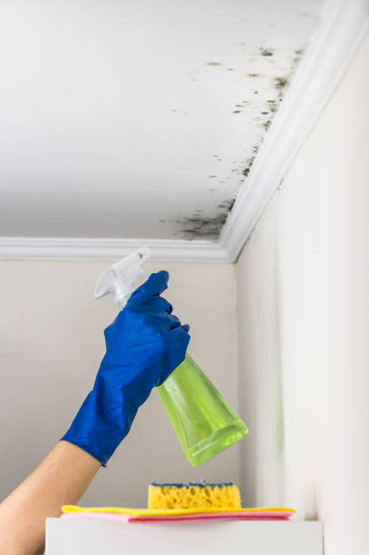 Best Crawl Space Mold Removal  in Sandston, VA